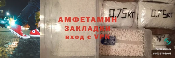 молекула духа Арсеньев