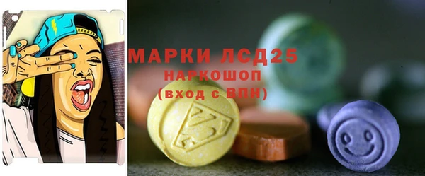 молекула духа Арсеньев