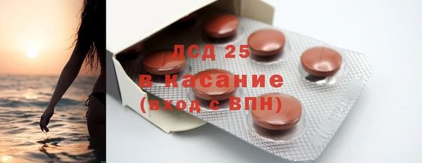 PSILOCYBIN Аркадак