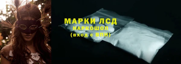 молекула духа Арсеньев