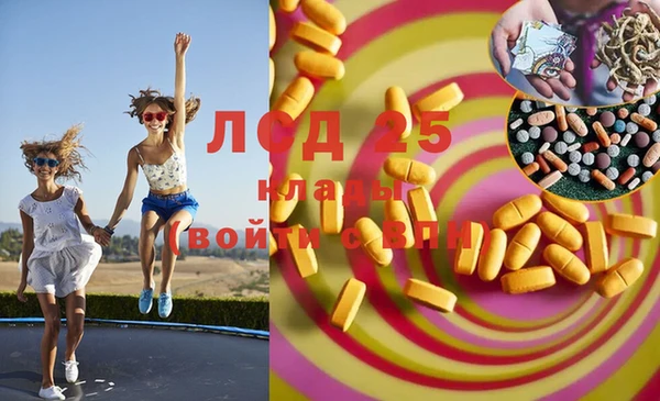 PSILOCYBIN Аркадак