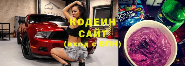 молекула духа Арсеньев