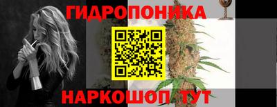 стаф Краснодар