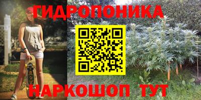 стаф Краснодар