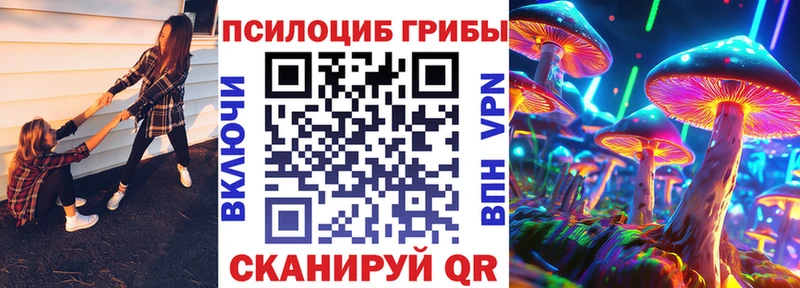 кракен зеркало  Коряжма  Псилоцибиновые грибы GOLDEN TEACHER 