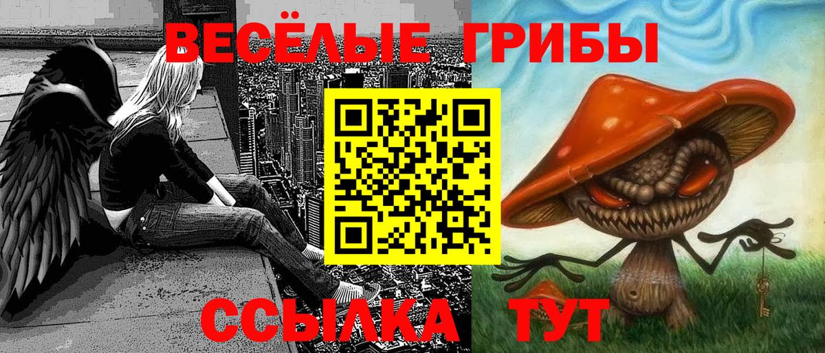 Галлюциногенные грибы ЛСД  Вход с VPN  Коряжма  Псилоцибиновые грибы прущие грибы 