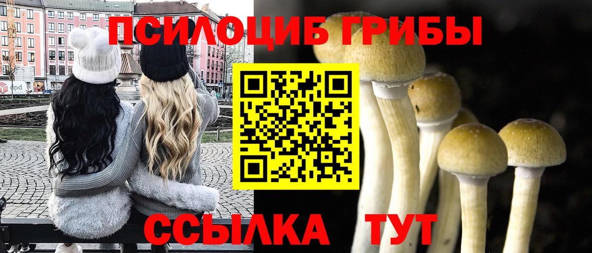Галлюциногенные грибы GOLDEN TEACHER Коряжма